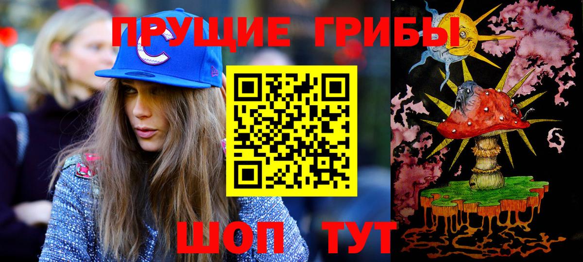 Галлюциногенные грибы Psilocybe Мценск