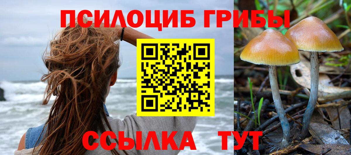 Галлюциногенные грибы Psilocybe  Галлюциногенные грибы мухоморы  Мценск  продажа наркотиков  Вход с VPN 
